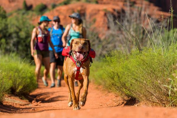 Ruffwear Singletrak Pack Red Currant Gr. S